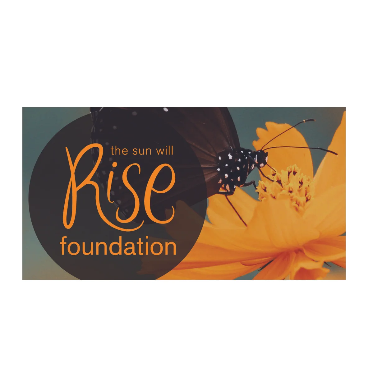 Rise Foundation Rise Foundation logo